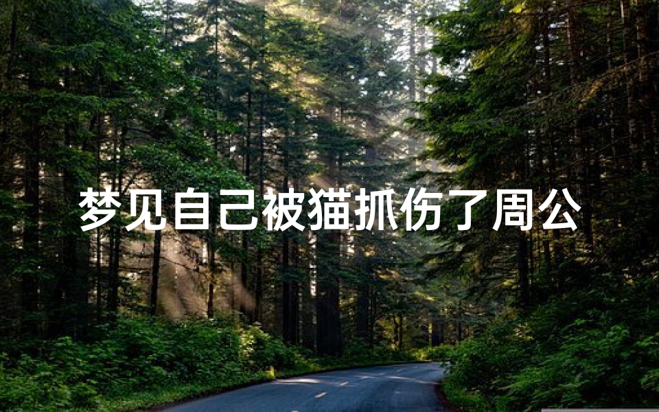 梦见自己被猫抓伤了周公解梦(梦见猫抓伤了自己的预兆)