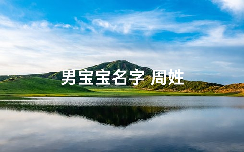 男宝宝名字 周姓