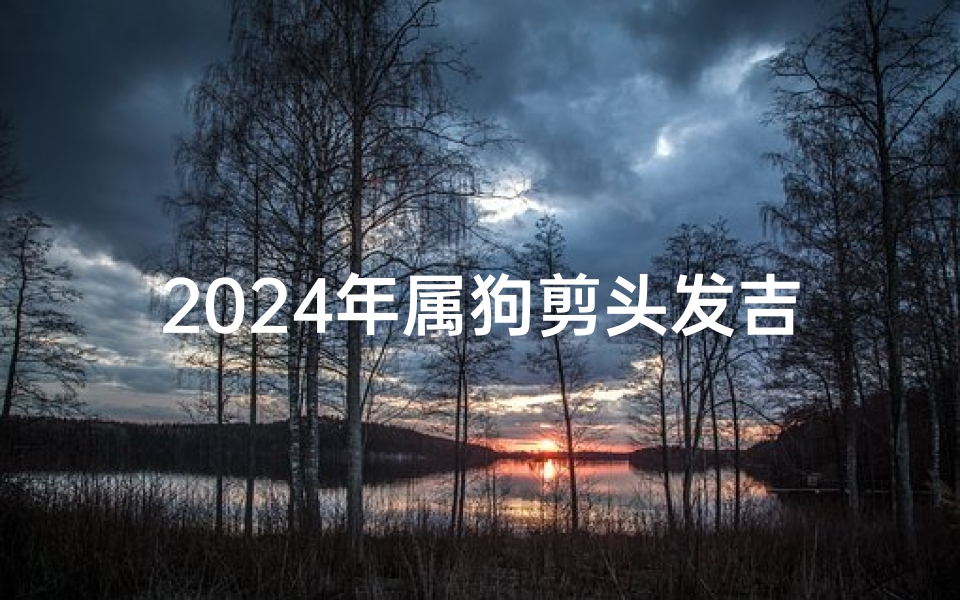 2024年属狗剪头发吉日表-2024年属狗的犯什么
