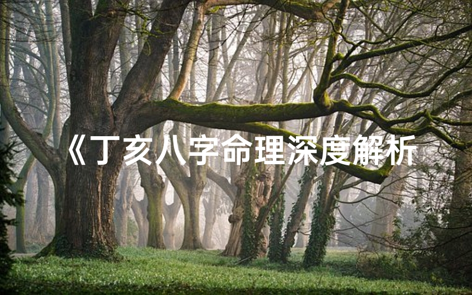 《丁亥八字命理深度解析:揭秘命运之谜》