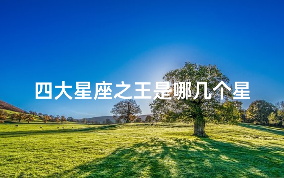 四大星座之王是哪几个星座(十二星座之王是谁)