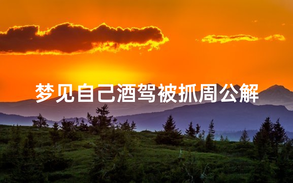 梦见自己酒驾被抓周公解梦(梦见酒驾被抓)