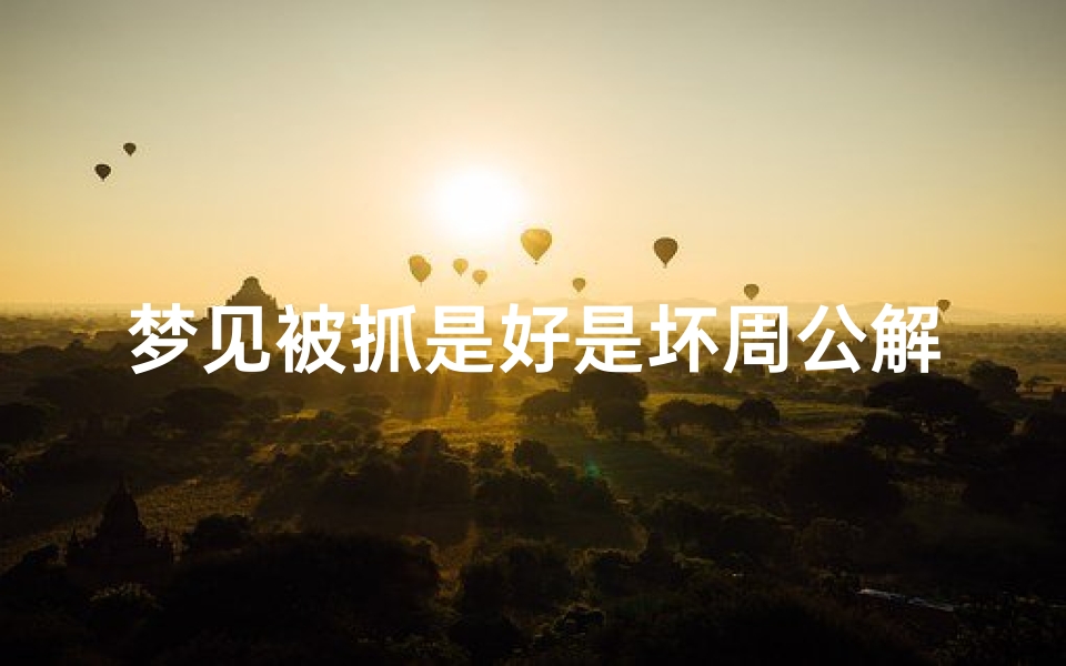 梦见被抓是好是坏周公解梦(梦见自己犯罪被抓)