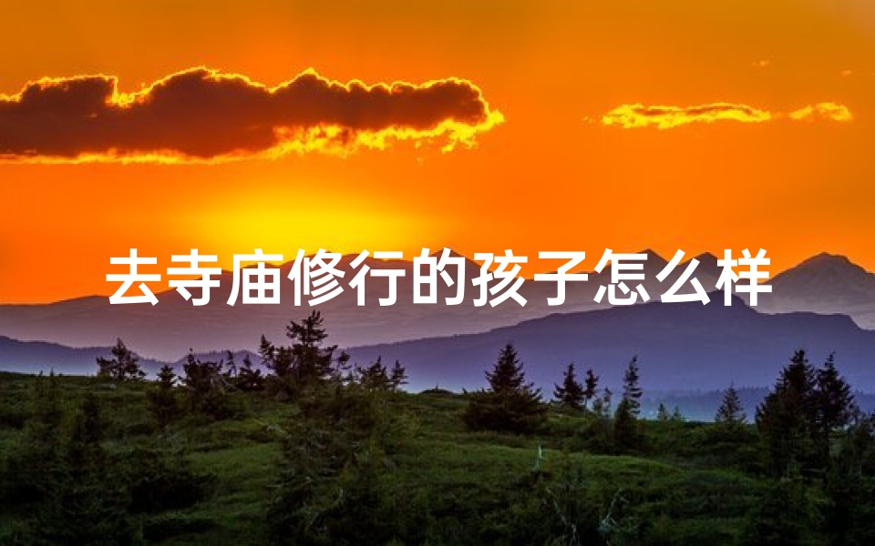 去寺庙修行的孩子怎么样;去寺庙修行的孩子怎么样了