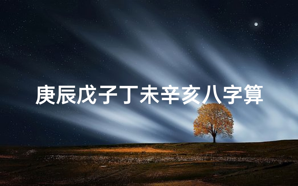 庚辰戊子丁未辛亥八字算命(2010年12月23日对应的生辰八字)