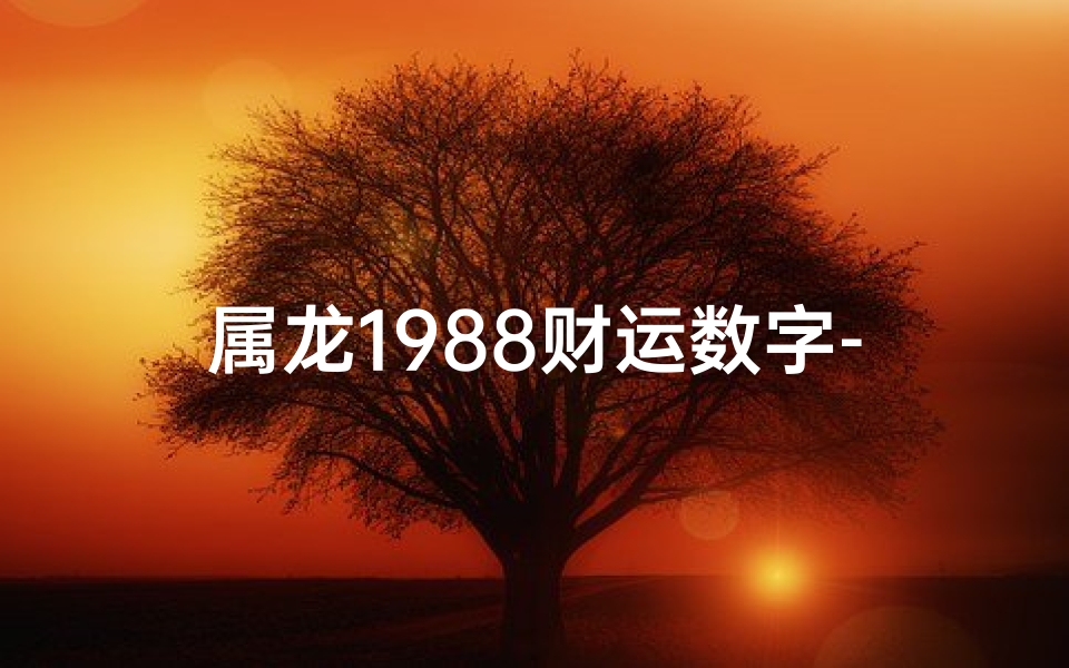 属龙1988财运数字-属龙1988财运数字:揭秘财富密码,财运亨通之道