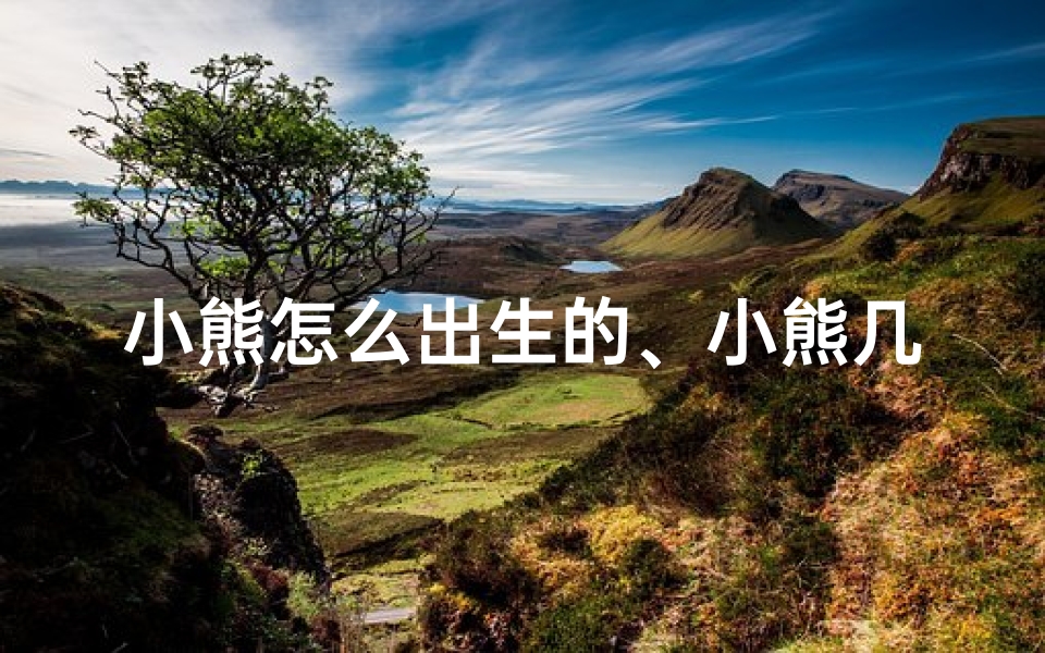 小熊怎么出生的、小熊几月份出生最命好?揭秘最佳诞生月份