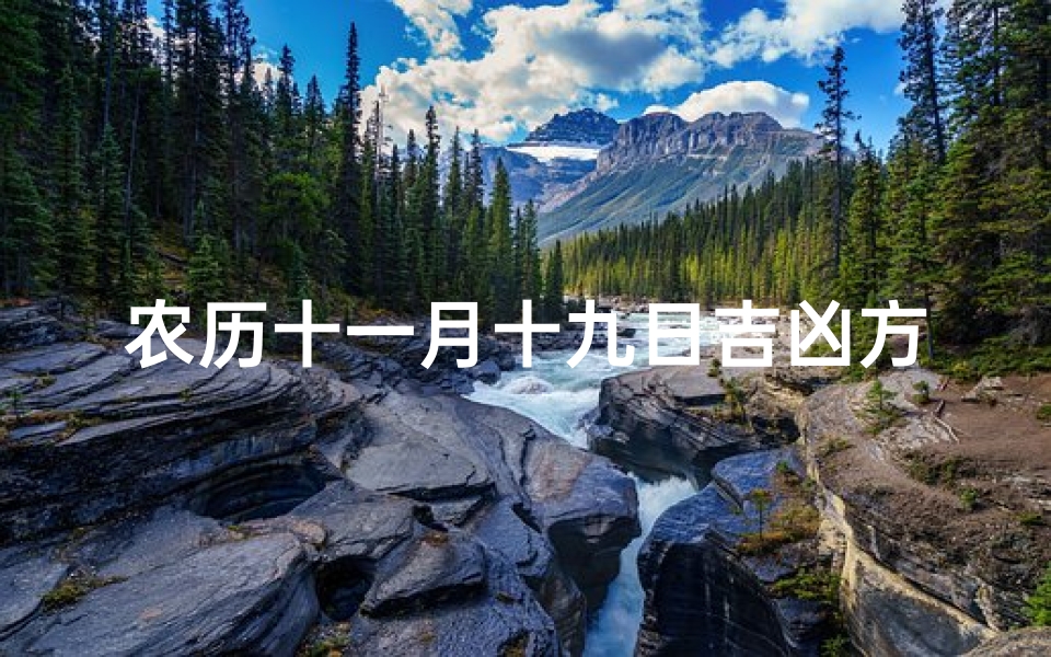 农历十一月十九日吉凶方位揭秘