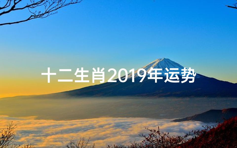 十二生肖2019年运势大揭秘:财运、感情、事业全攻略!
