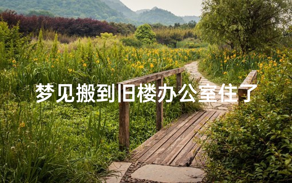 梦见搬到旧楼办公室住了(梦见搬到旧楼办公室住了很多人)-海瑞算卦网
