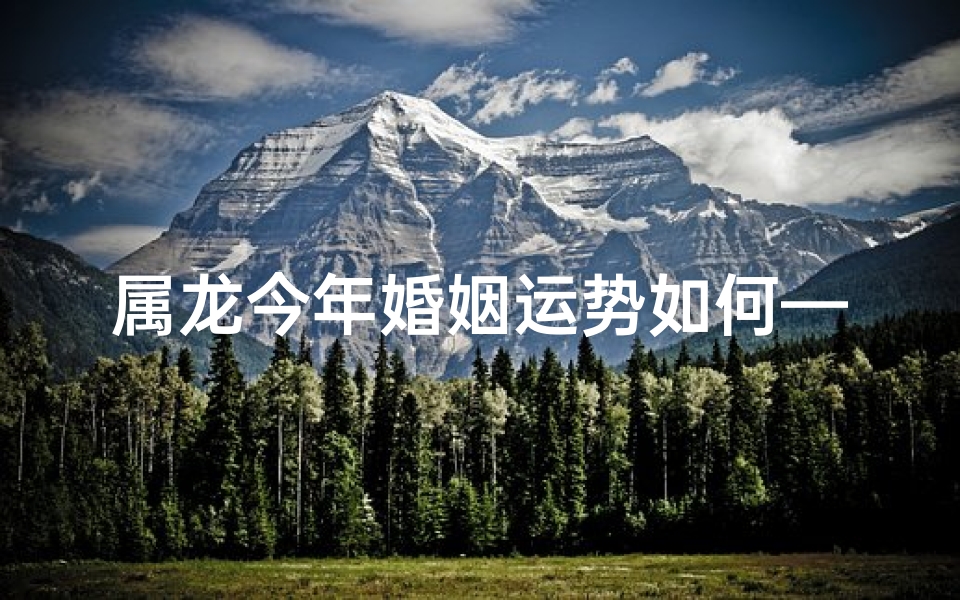 属龙今年婚姻运势如何—属龙2024年婚姻运势大揭秘:幸福指数飙升