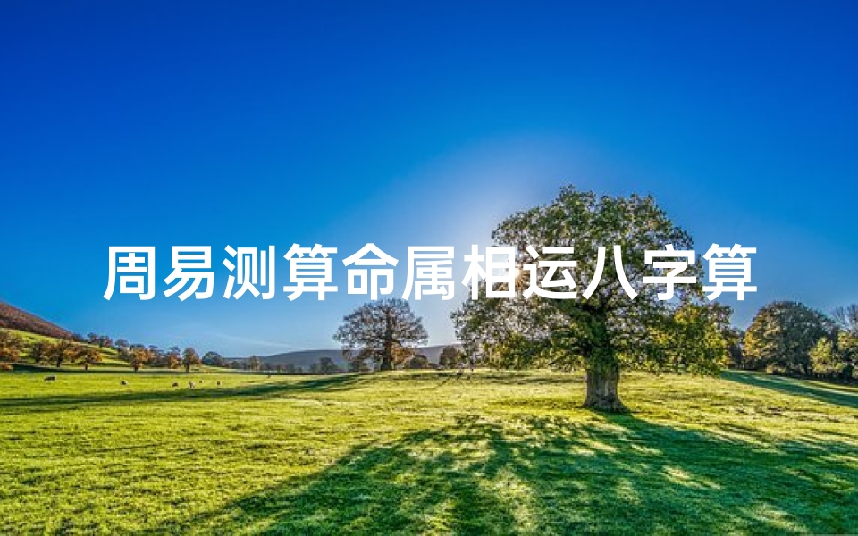 周易测算命属相运八字算命(周易算命生辰八字)