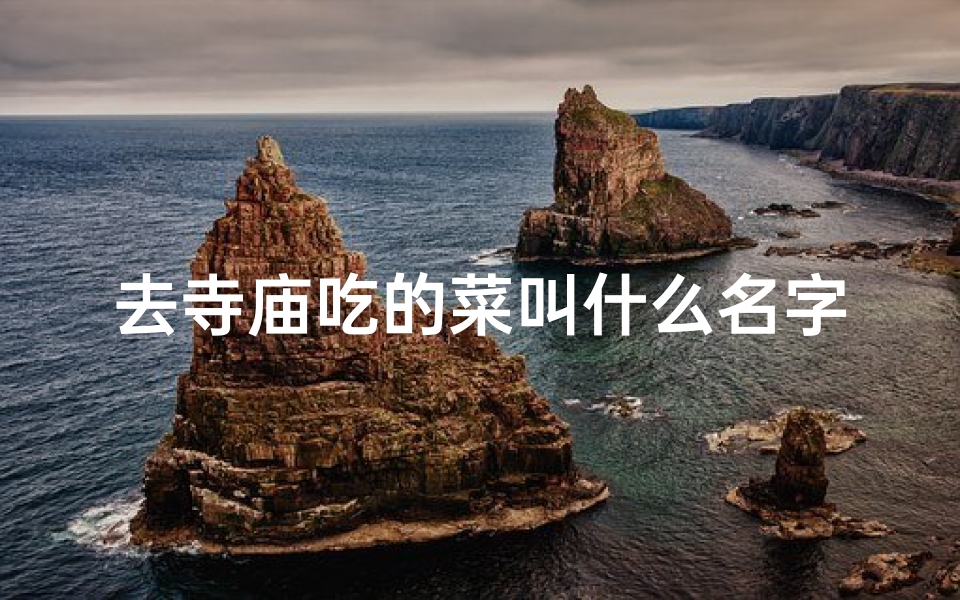 去寺庙吃的菜叫什么名字—去寺庙吃的菜叫什么名字好听