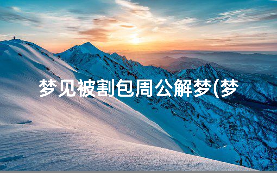 梦见被割包周公解梦(梦见钱包被割)