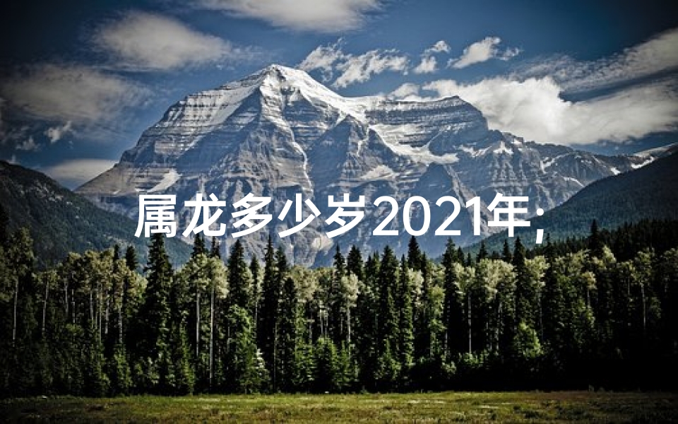 属龙多少岁2021年;属龙2021年:揭秘生肖龙者的年龄秘密