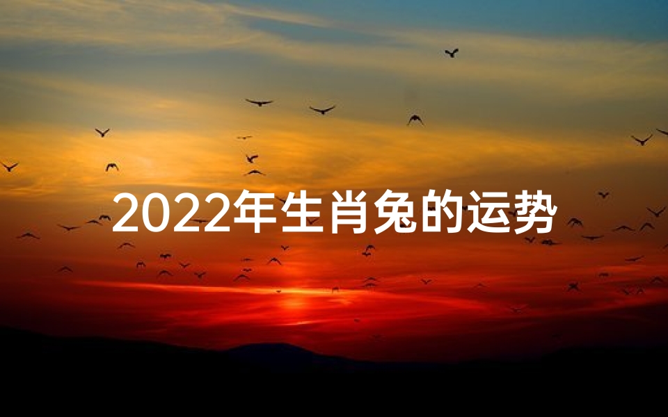 2022年生肖兔的运势如何？