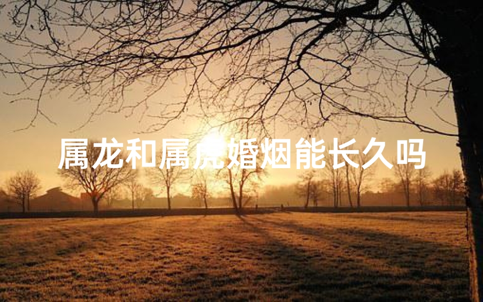 属龙和属虎婚烟能长久吗