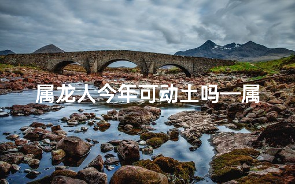 属龙人今年可动土吗—属龙人2024年动土吉凶：宜动不宜静，时机成熟吗？