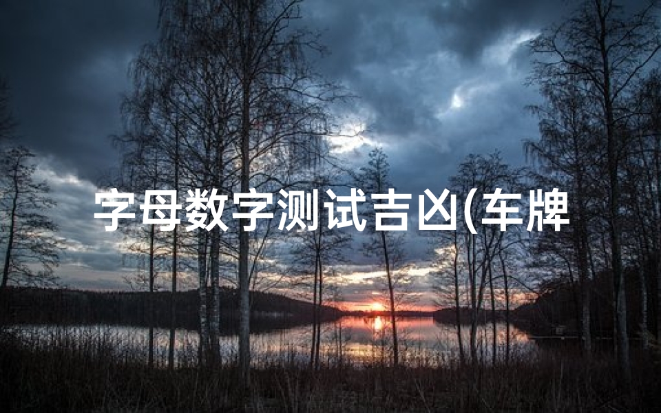 字母数字测试吉凶(车牌号码测试 26个字母吉凶 )