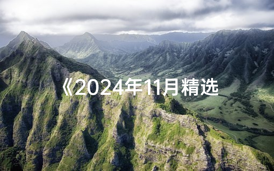 《2024年11月精选吉日:埋葬良辰揭晓》