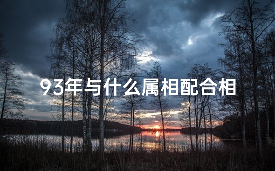 93年与什么属相配合相冲(93年属猴和什么属相配 )