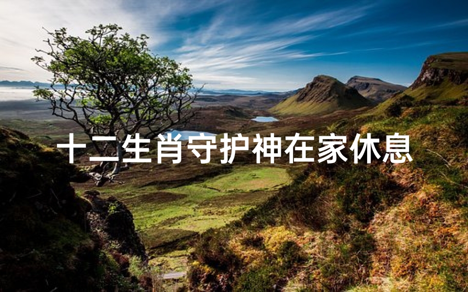 十二生肖守护神在家休息(那些人不适合戴十二生肖守护神黑耀石)-海瑞算卦网