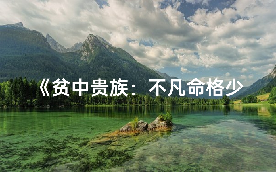 《贫中贵族:不凡命格少年传奇》