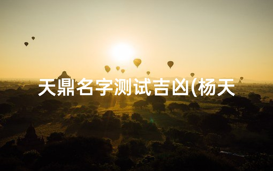 天鼎名字测试吉凶(杨天鼎的姓名测试报告)