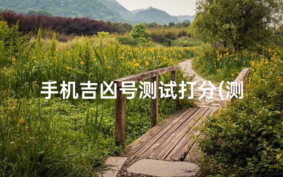 手机吉凶号测试打分(测试手机号吉凶号令天下打分,手机号码测吉凶超准号令天下)