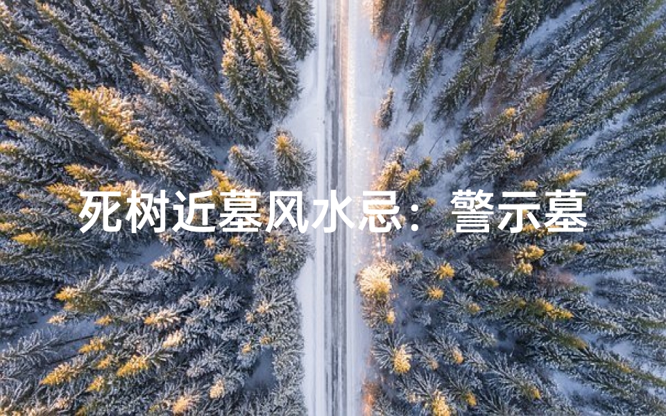 死树近墓风水忌:警示墓主运势影响