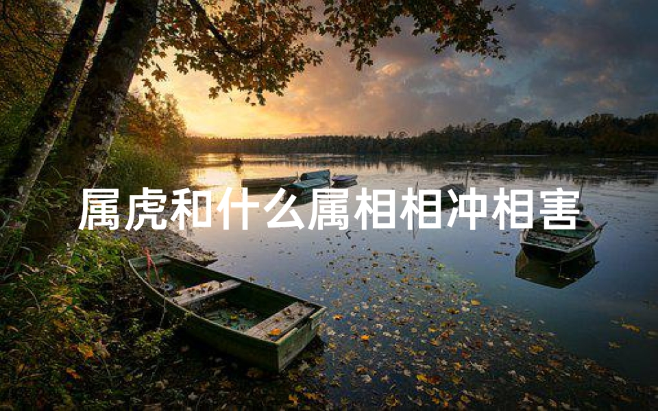 属虎和什么属相相冲相害(属虎人的相冲生肖是什么 )