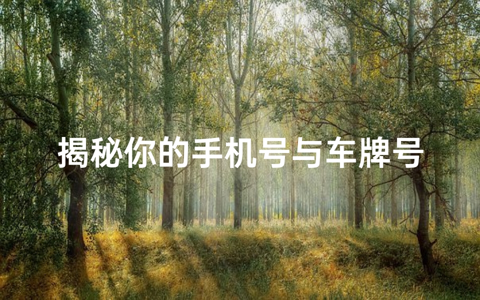 揭秘你的手机号与车牌号:如何测试吉凶运势改变人生轨迹!