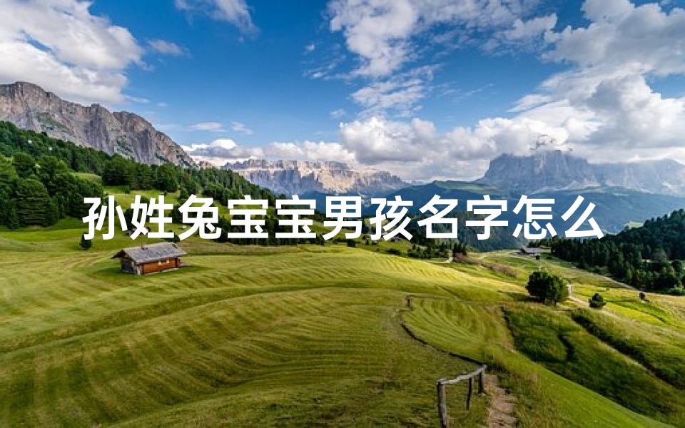 孙姓兔宝宝男孩名字怎么起