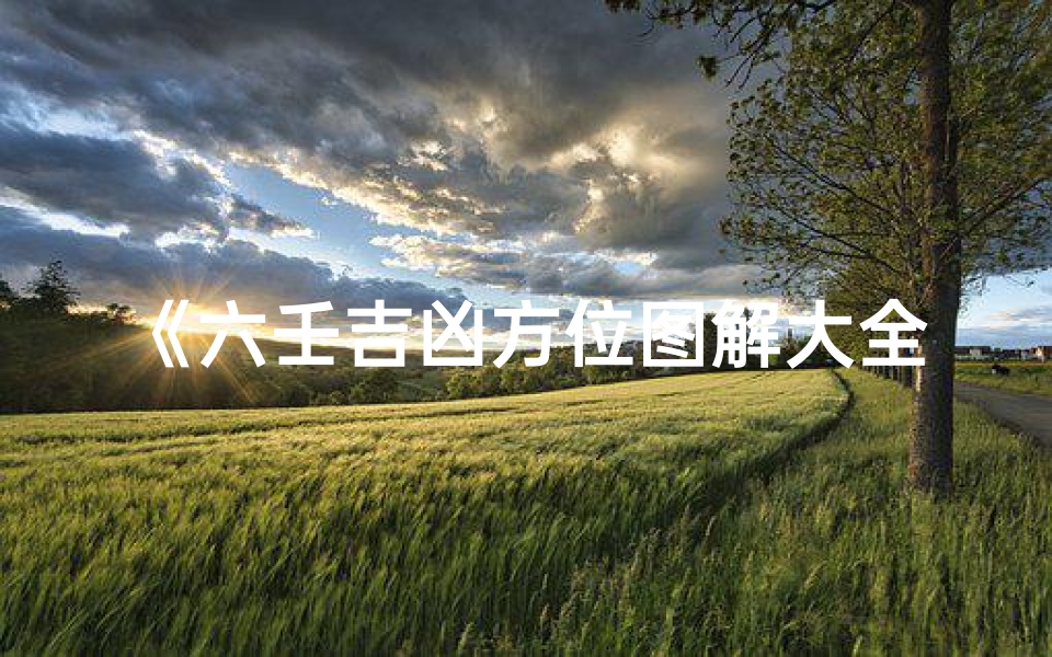 《六壬吉凶方位图解大全详析揭秘》