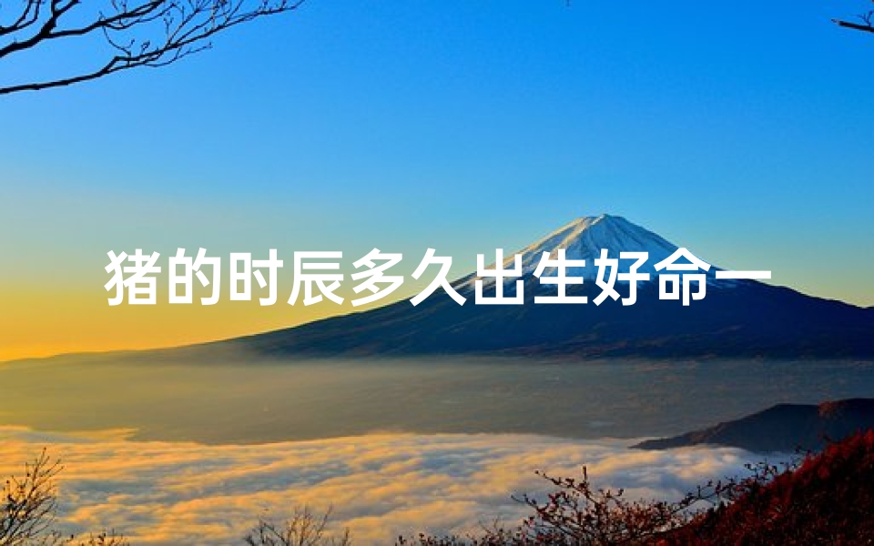 猪的时辰多久出生好命一点、猪儿出生辰时吉星照,命途多顺福满堂