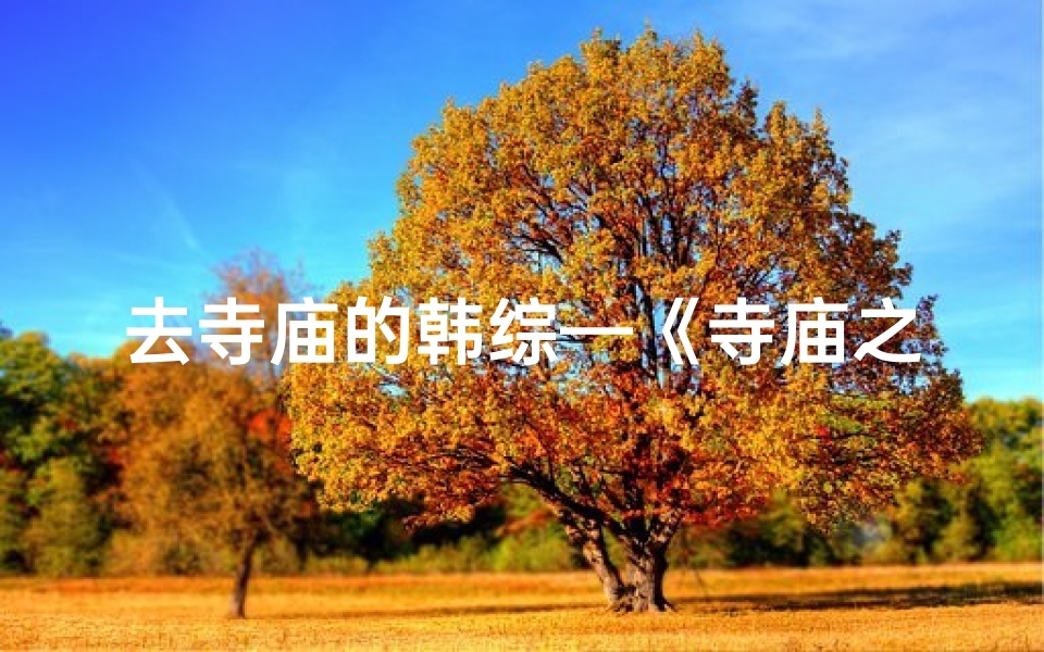 去寺庙的韩综—《寺庙之旅:韩综探寻神秘信仰地》