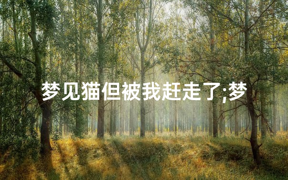 梦见猫但被我赶走了;梦见把一只猫赶走了
