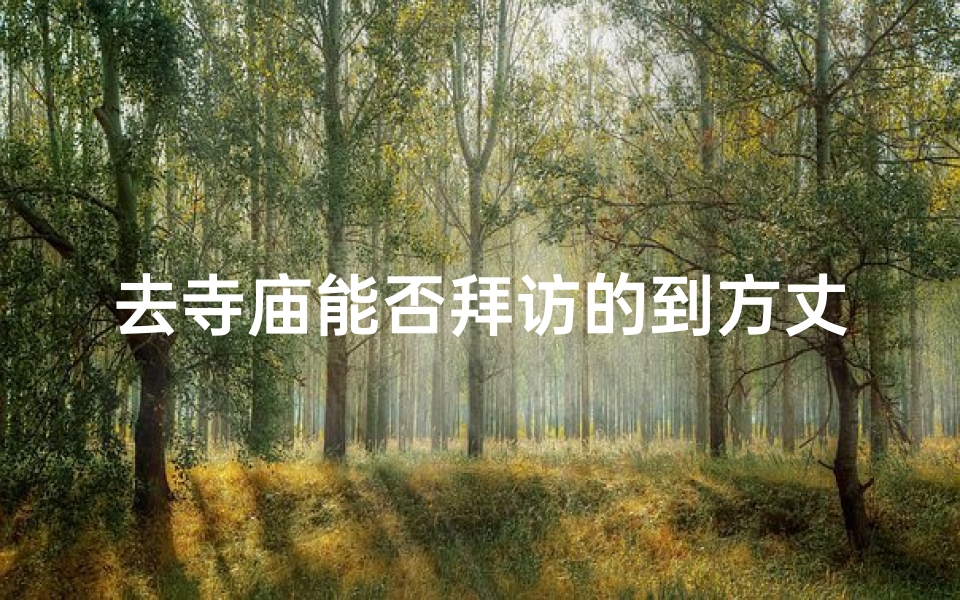 去寺庙能否拜访的到方丈—《寺庙方丈可否拜访:探寻神秘面纱》
