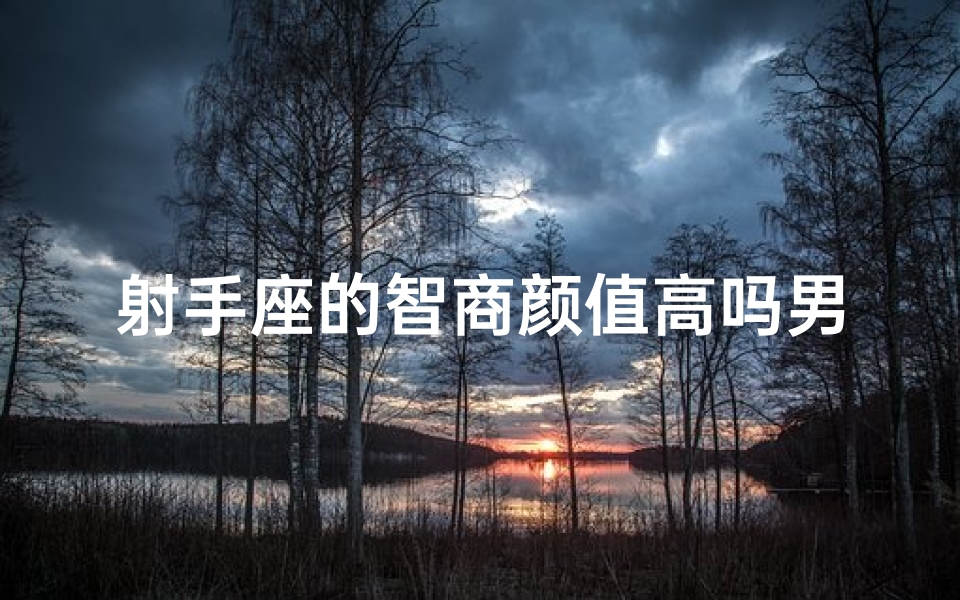 射手座的智商颜值高吗男生-海瑞算卦网