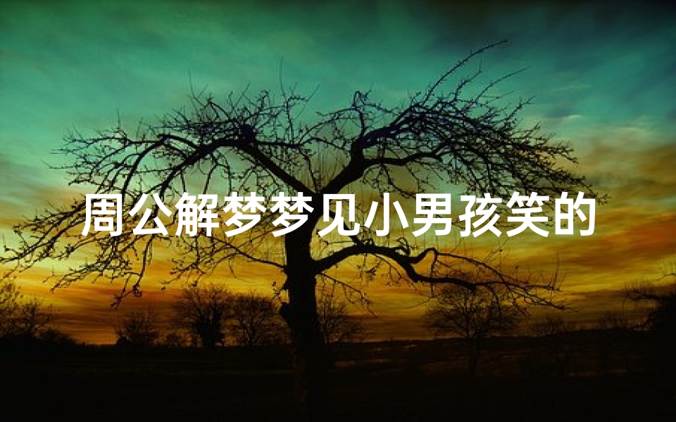 周公解梦梦见小男孩笑的含义与解析