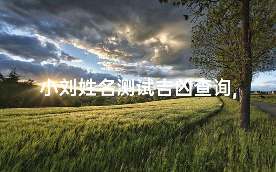 小刘姓名测试吉凶查询,姓名吉凶分析-小刘姓名解析
