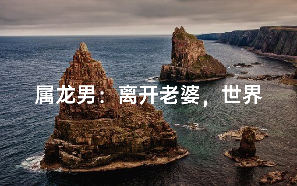 属龙男:离开老婆,世界都黯淡无光