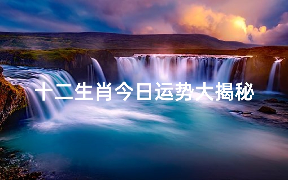 十二生肖今日运势大揭秘!快来看看你的运势吧!
