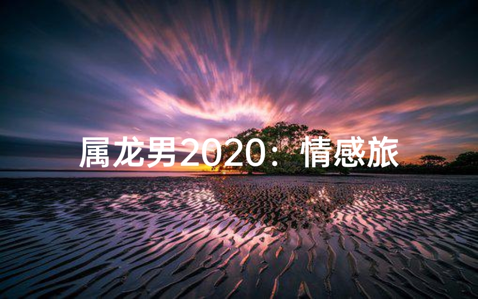 属龙男2020:情感旅程,爱意盎然