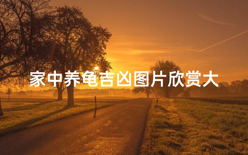 家中养龟吉凶图片欣赏大全-《家中养龟吉凶图鉴:精美图片赏析大全》