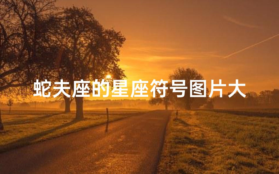 蛇夫座的星座符号图片大全(蛇夫座的符号)
