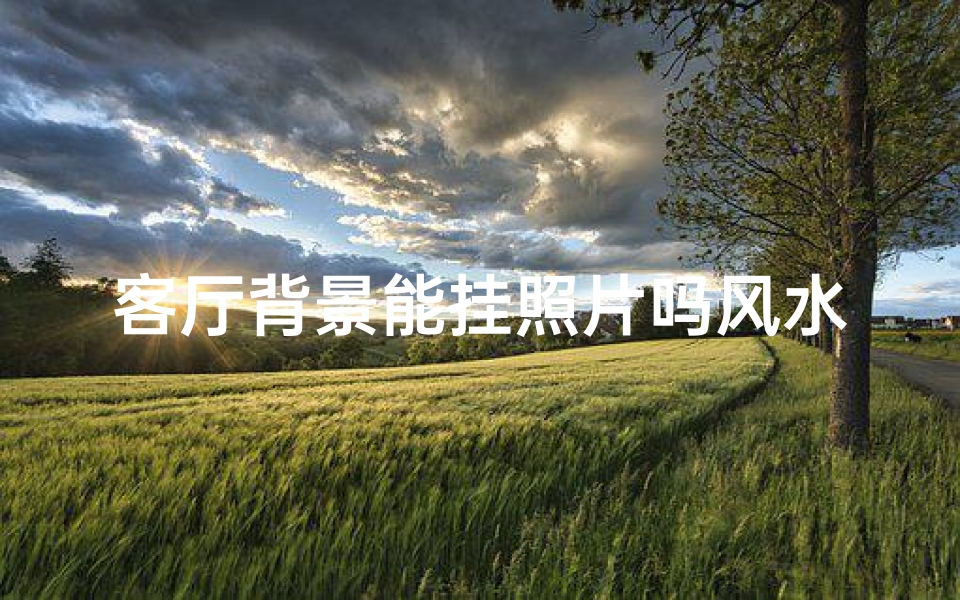 客厅背景能挂照片吗风水_客厅背景墙挂照片怎么挂好看