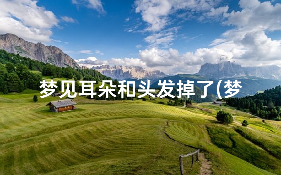 梦见耳朵和头发掉了(梦见耳朵和头发掉了一大把)-海瑞算卦网
