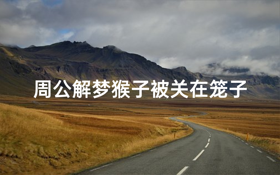 周公解梦猴子被关在笼子里(梦见很多猴子被关在笼子里的预兆)-海瑞算卦网