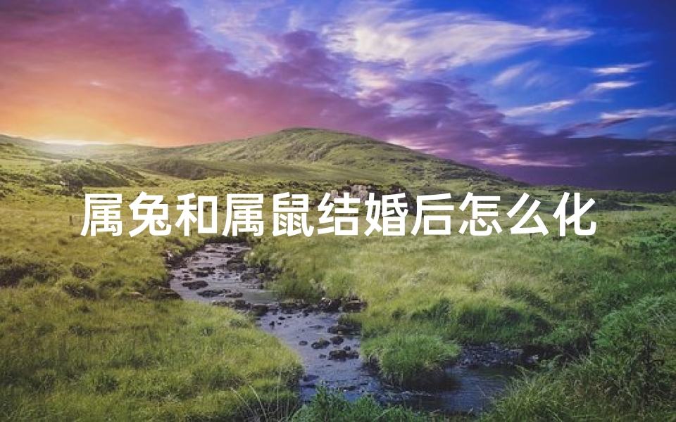 属兔和属鼠结婚后怎么化解—属兔属鼠喜结良缘,佳偶天成美满姻缘